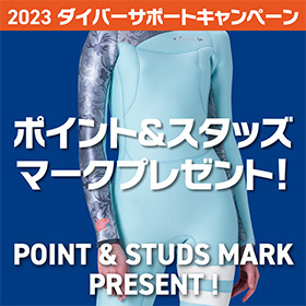 ダイバーサポートキャンペーン Vol.1（ポイント＆スタッズマーク・プレゼント）がスタート